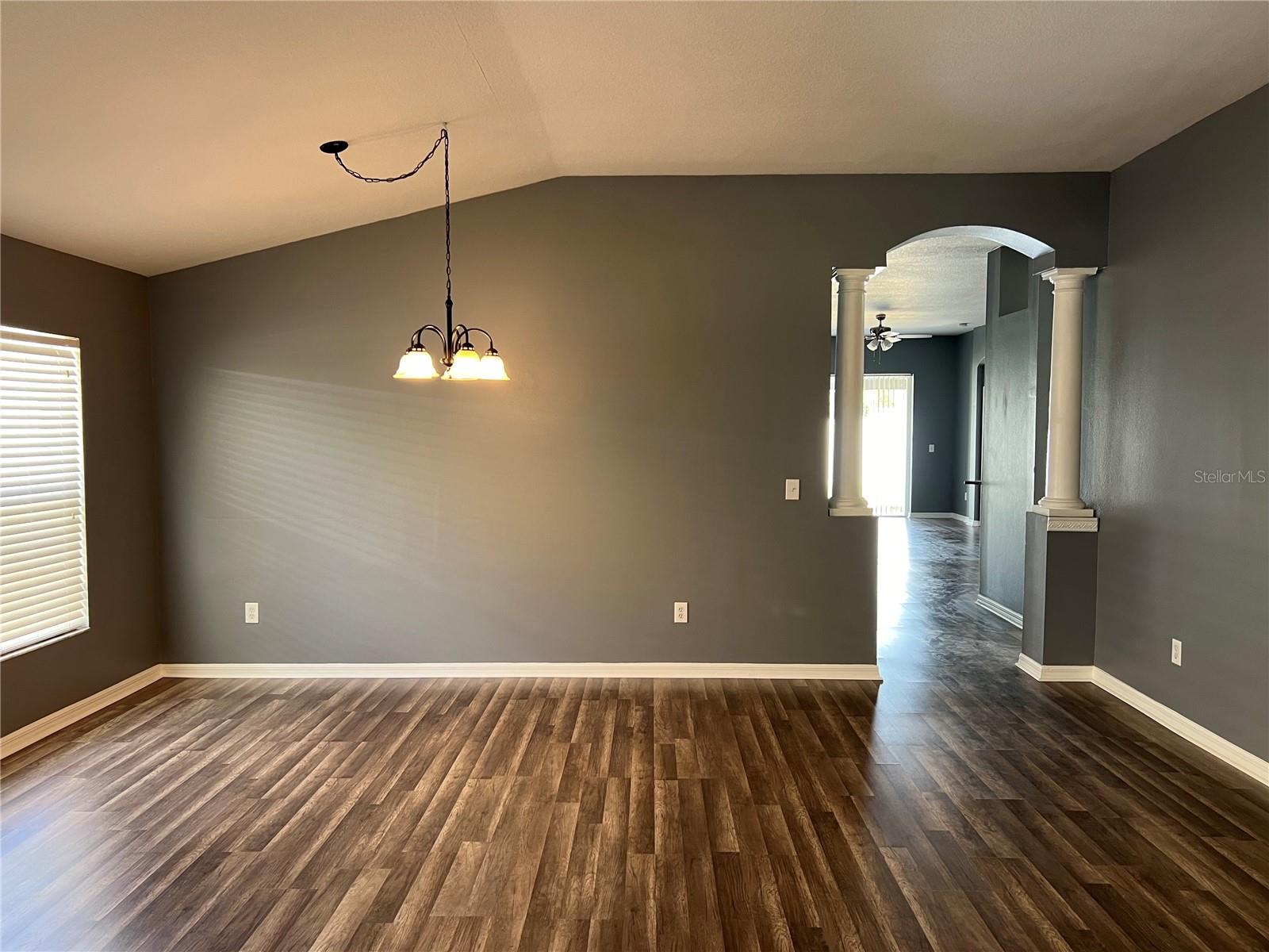 View from living room, to dining room and family room