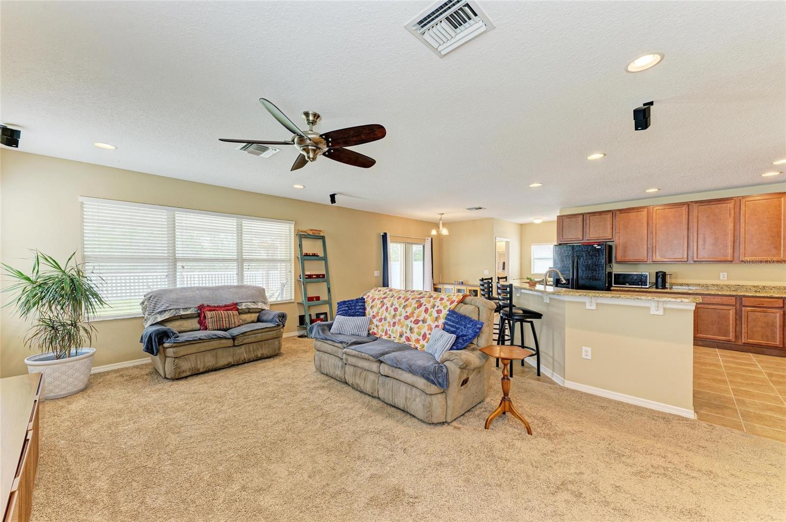 Family Room / Kitchen Combo