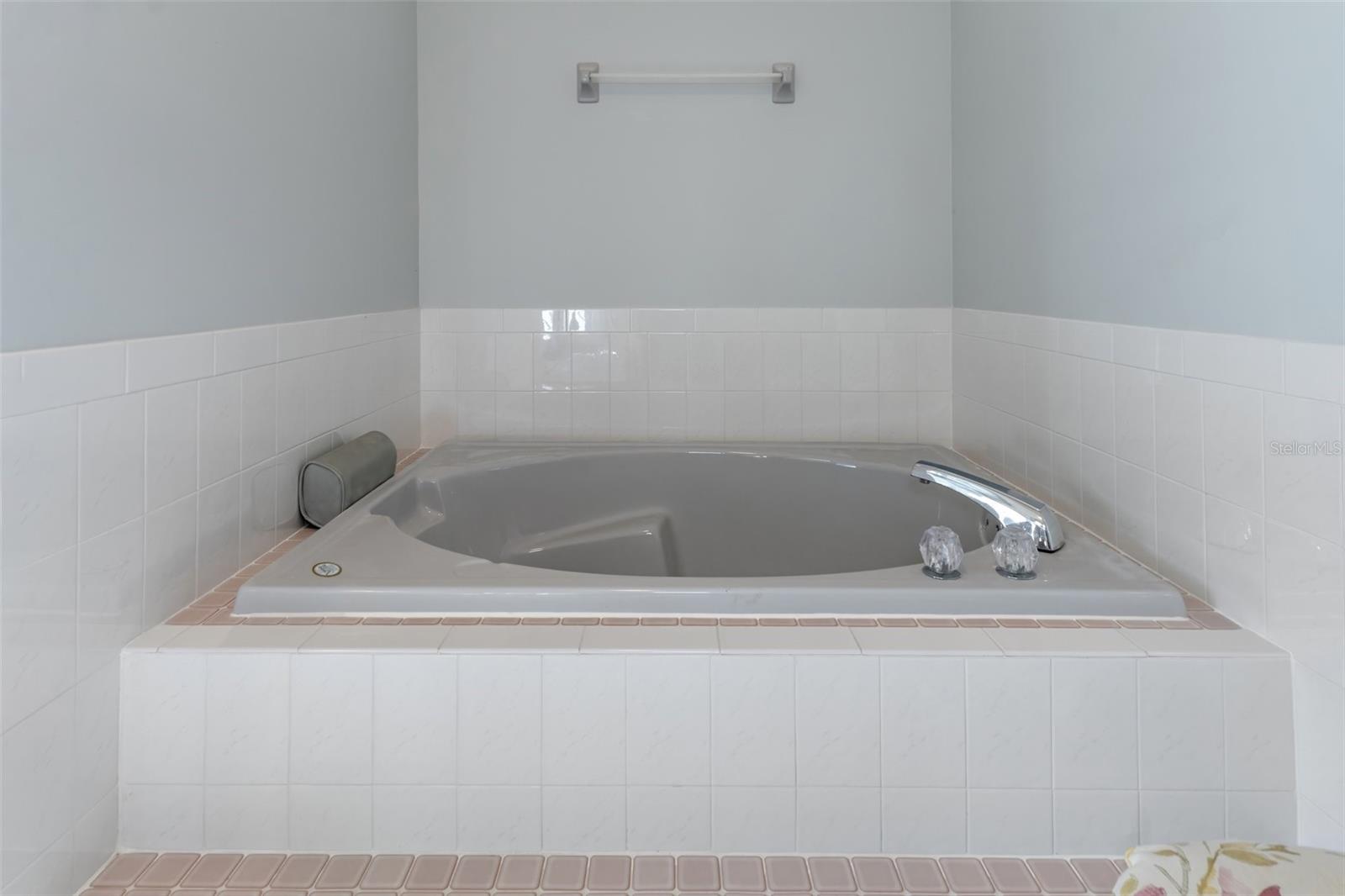 Primary Bath Garden Tub