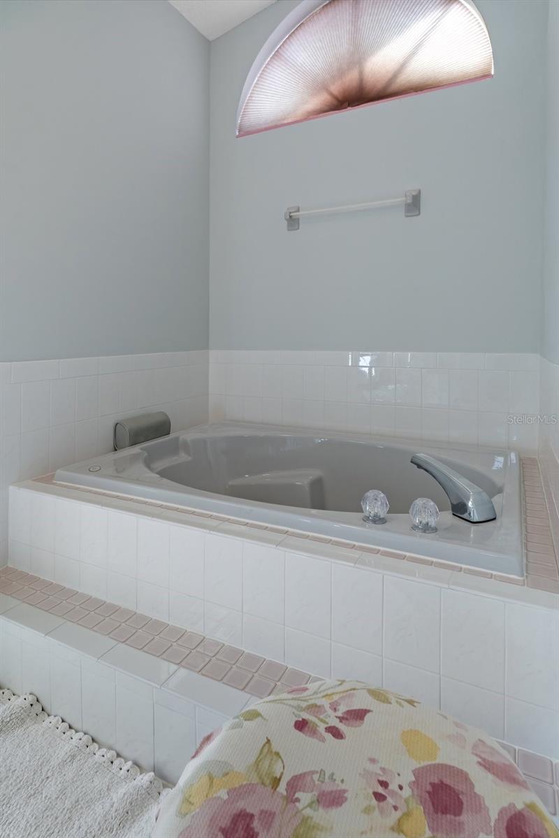 Primary Bath Garden Tub