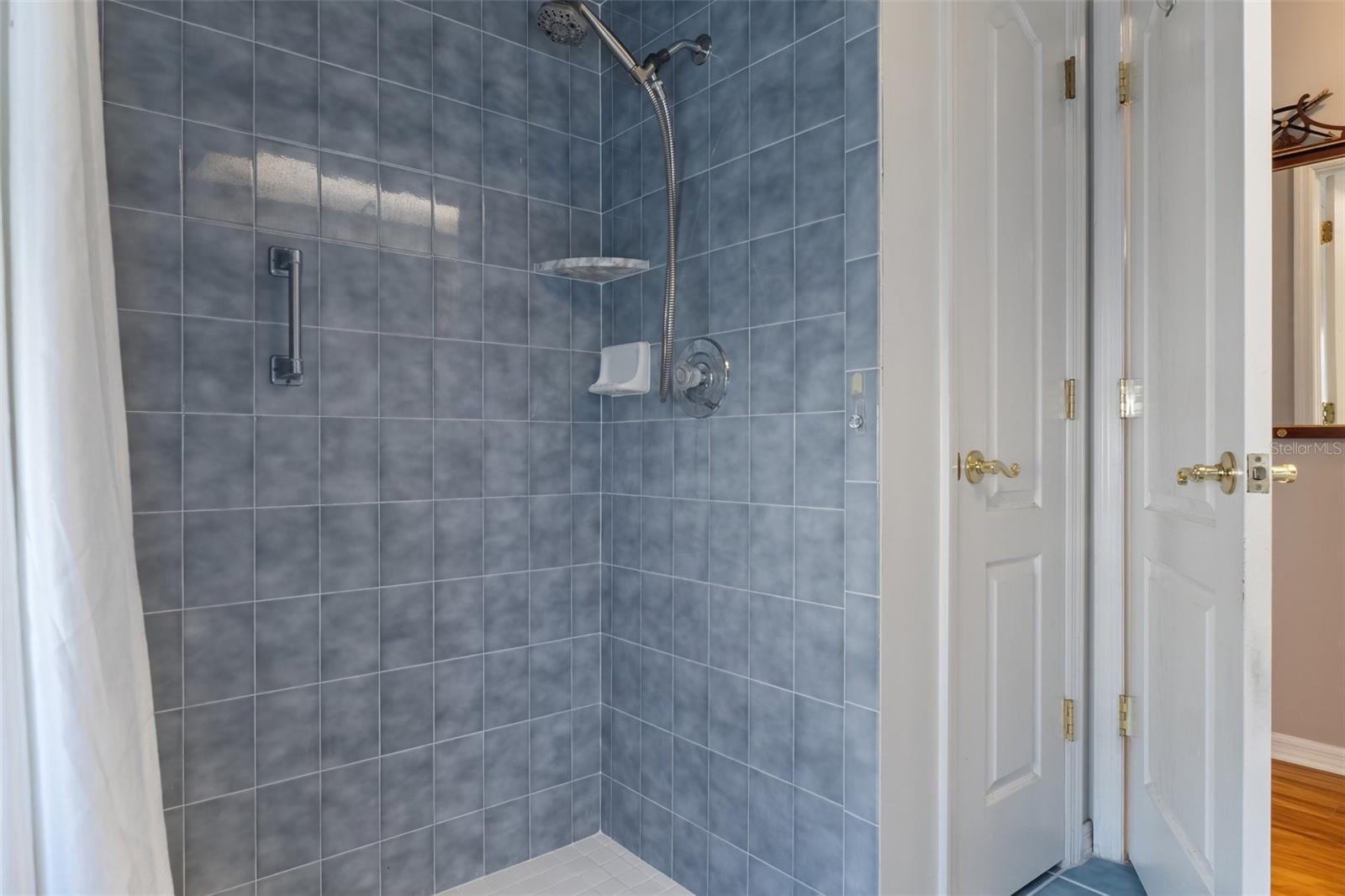 Guest Bath Walk in Shower with Linen Closet