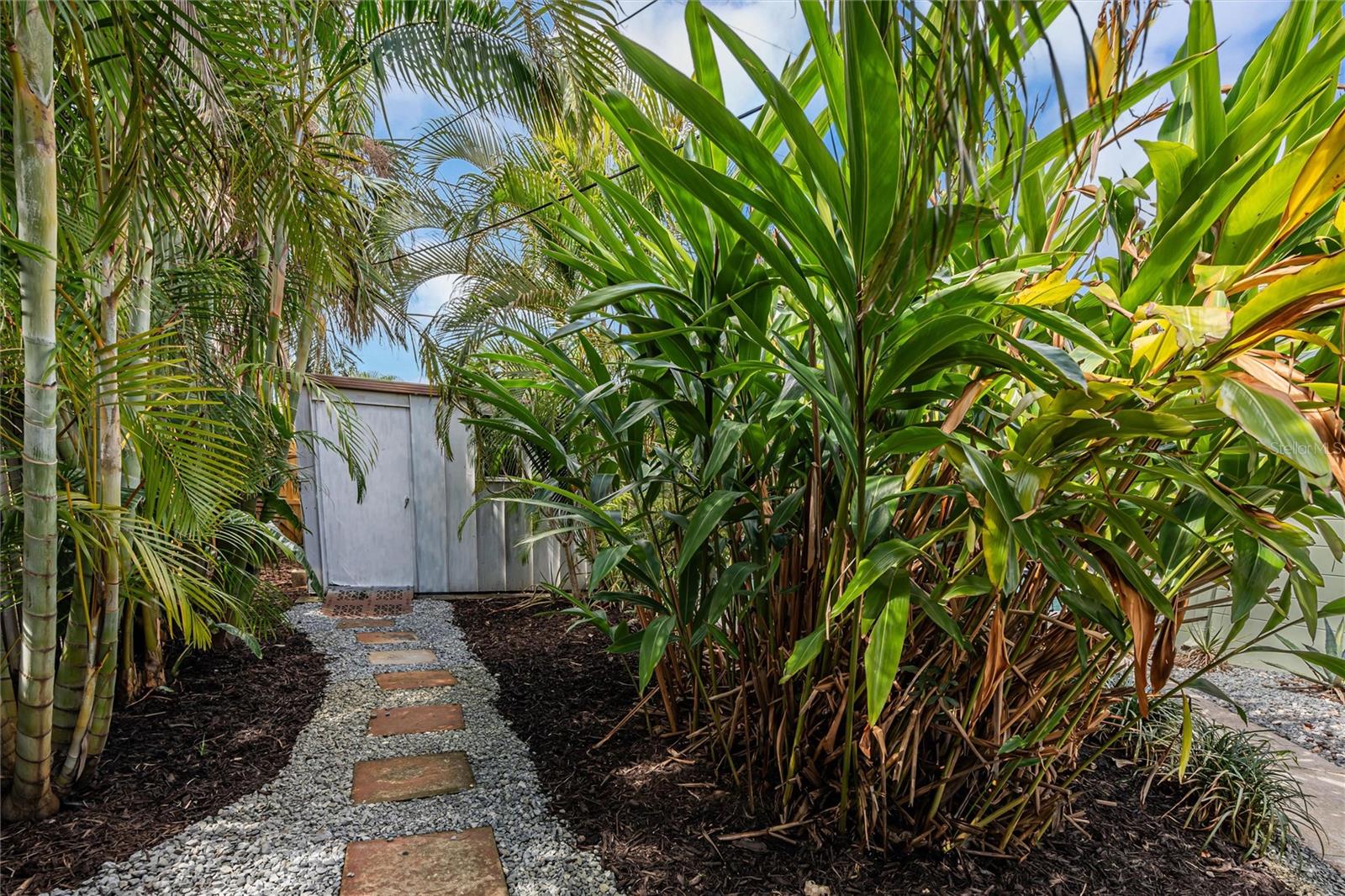 South Side yard with storage shed