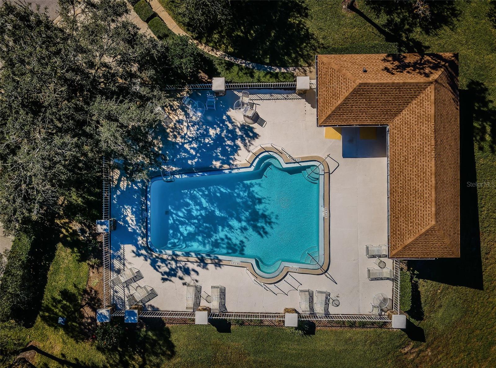 Community Pool aerial View