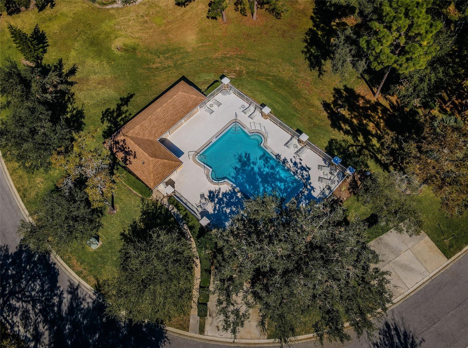 Pool Aerial View