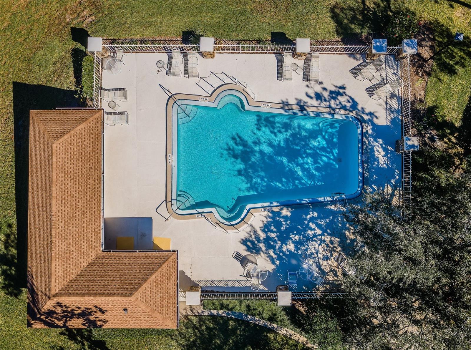 Pool Aerial View