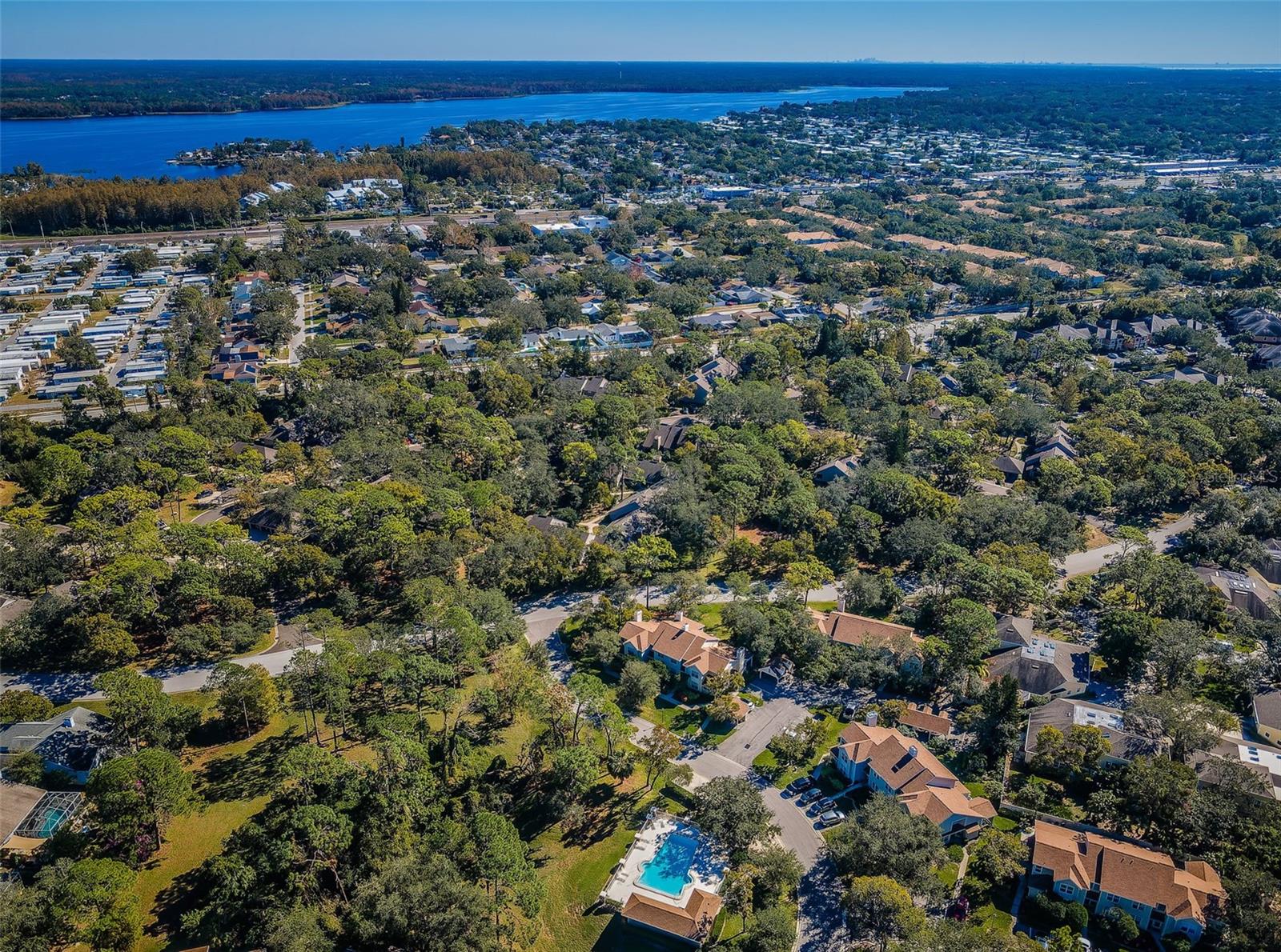 Pool Aerial View