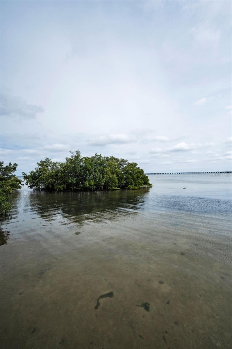 Water view