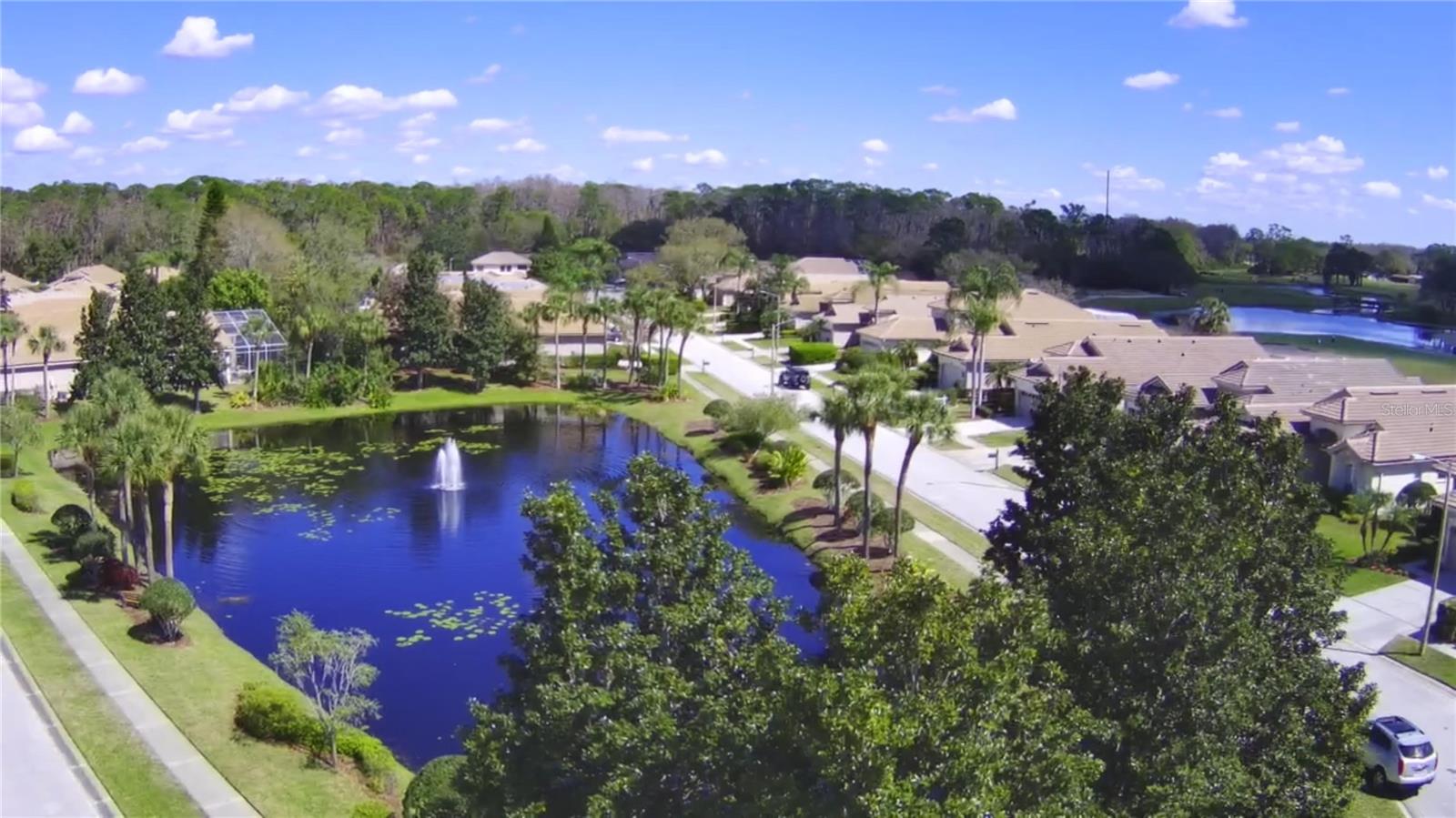 FRONT OF THE HOME POND VIEW