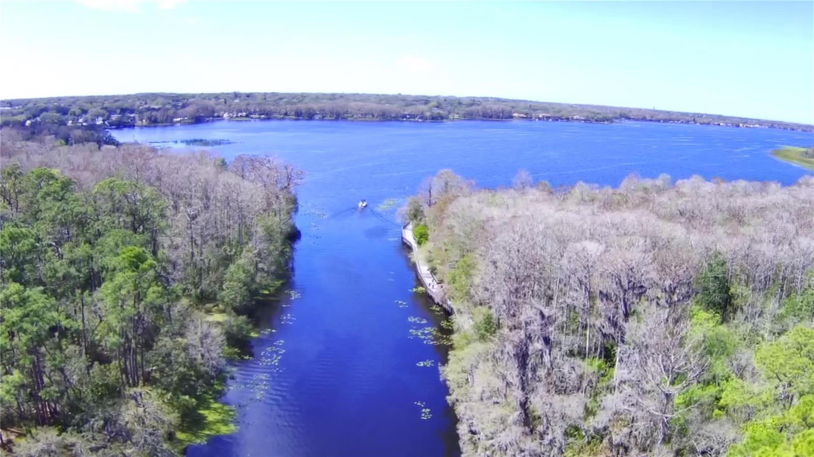 LAKE TARPON