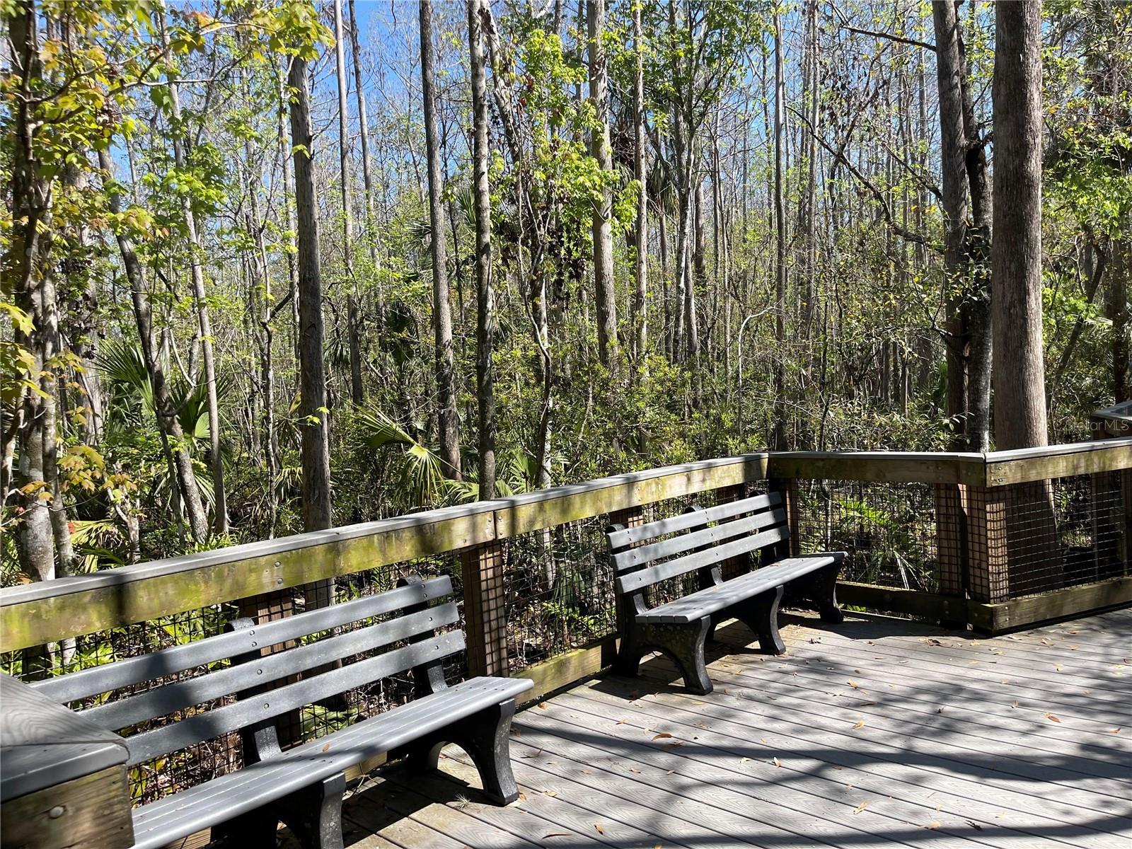 SCIENIC SITTING AREA