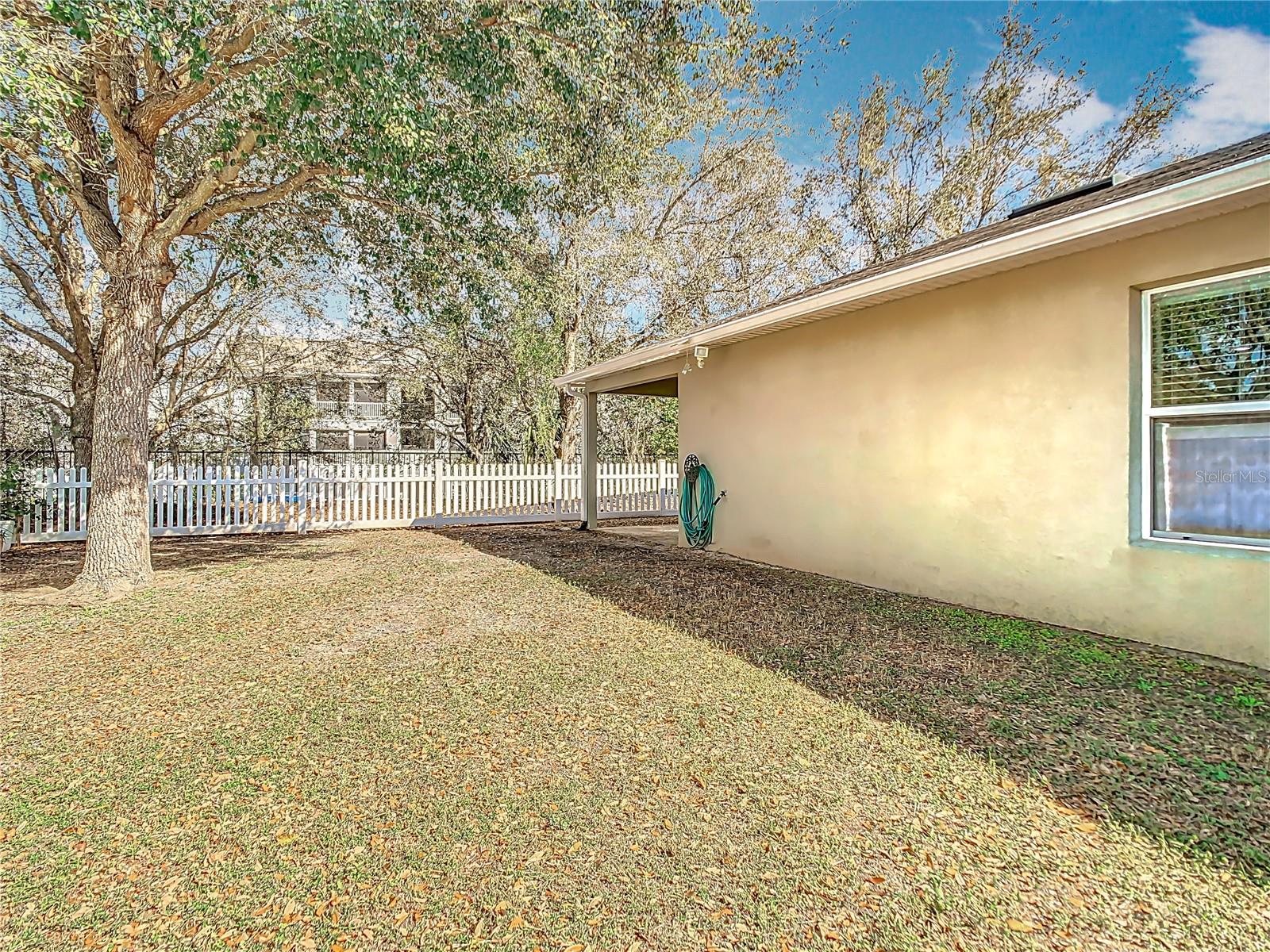 Fenced Backyard