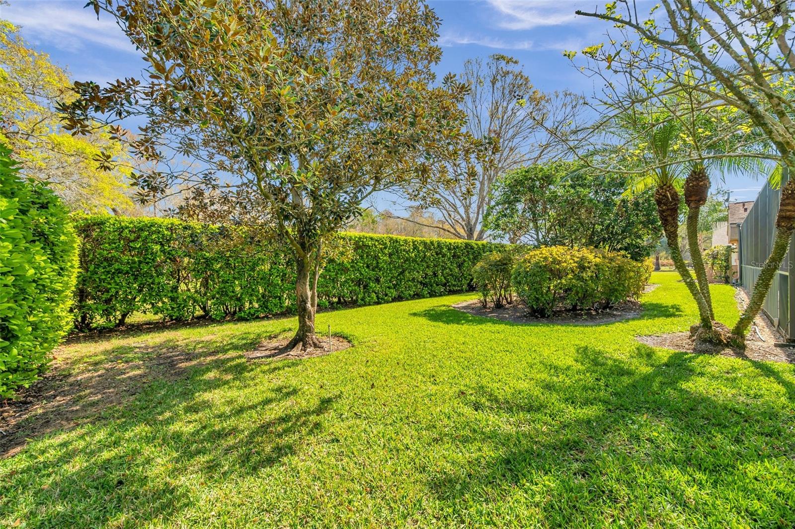 Hedge Fence