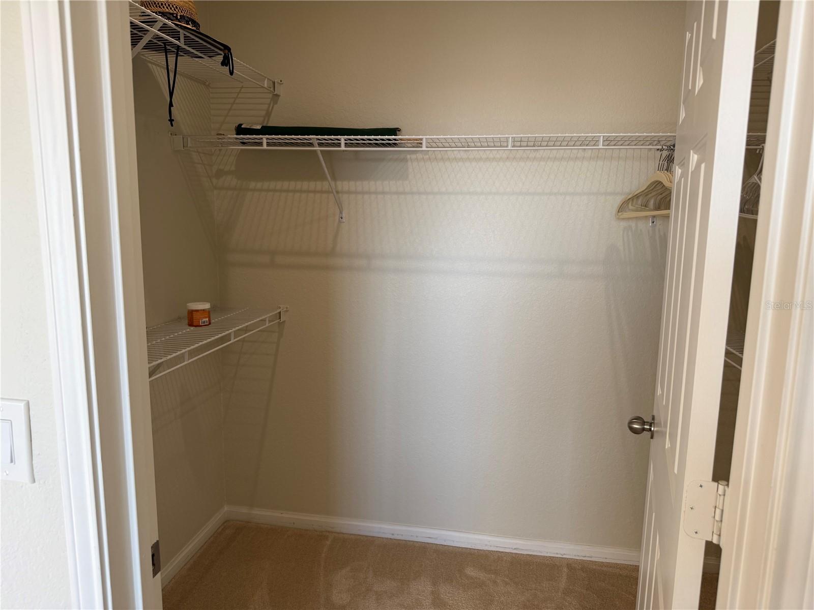 Guest Walk-in Closet