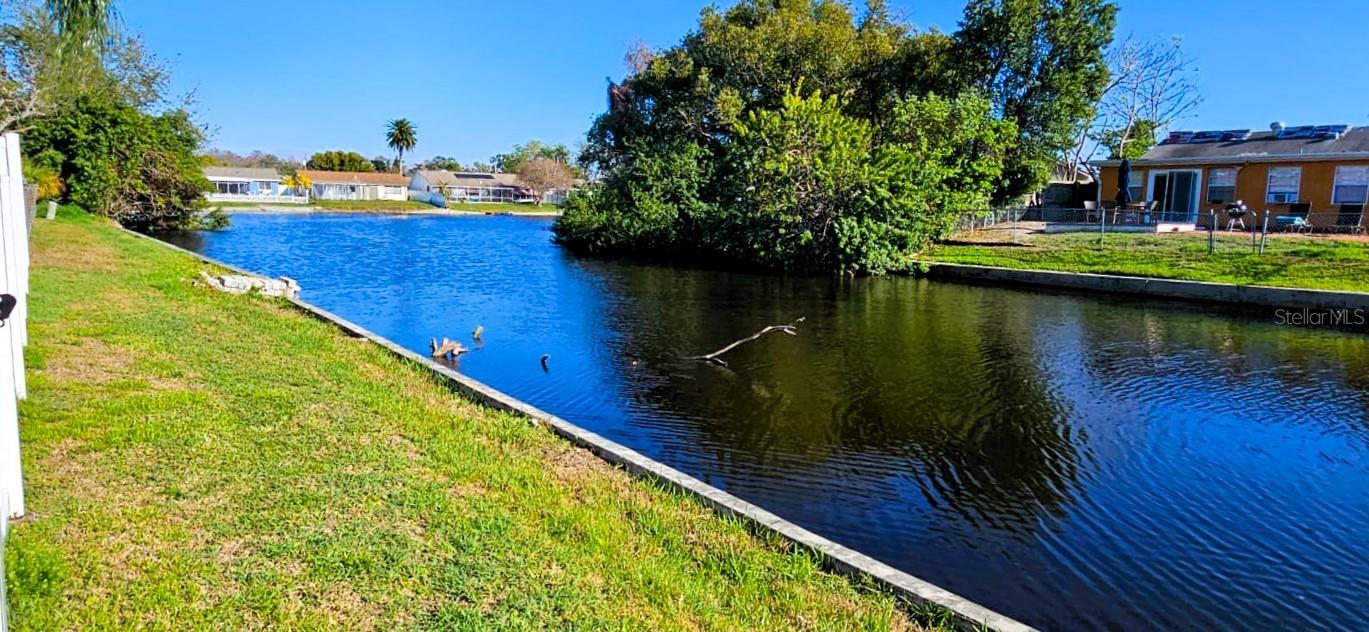 Horseshoe Lake view