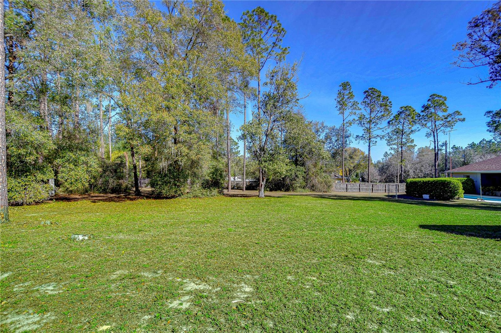 Expansive backyard paradise!