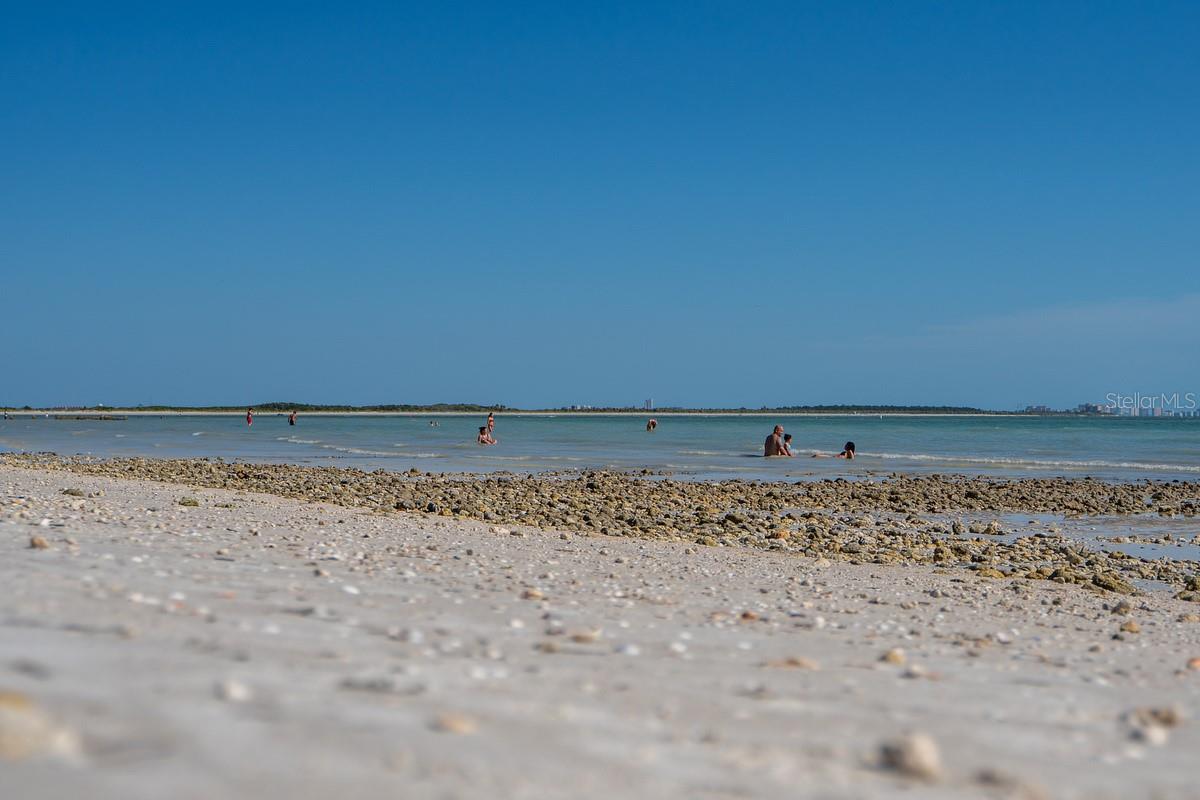 Dunedin Causeway