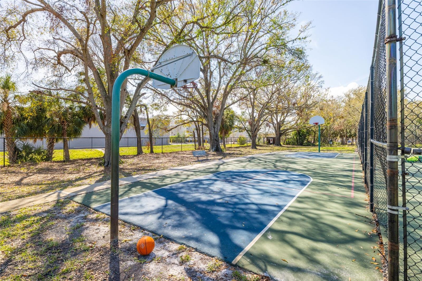 Basketball Court