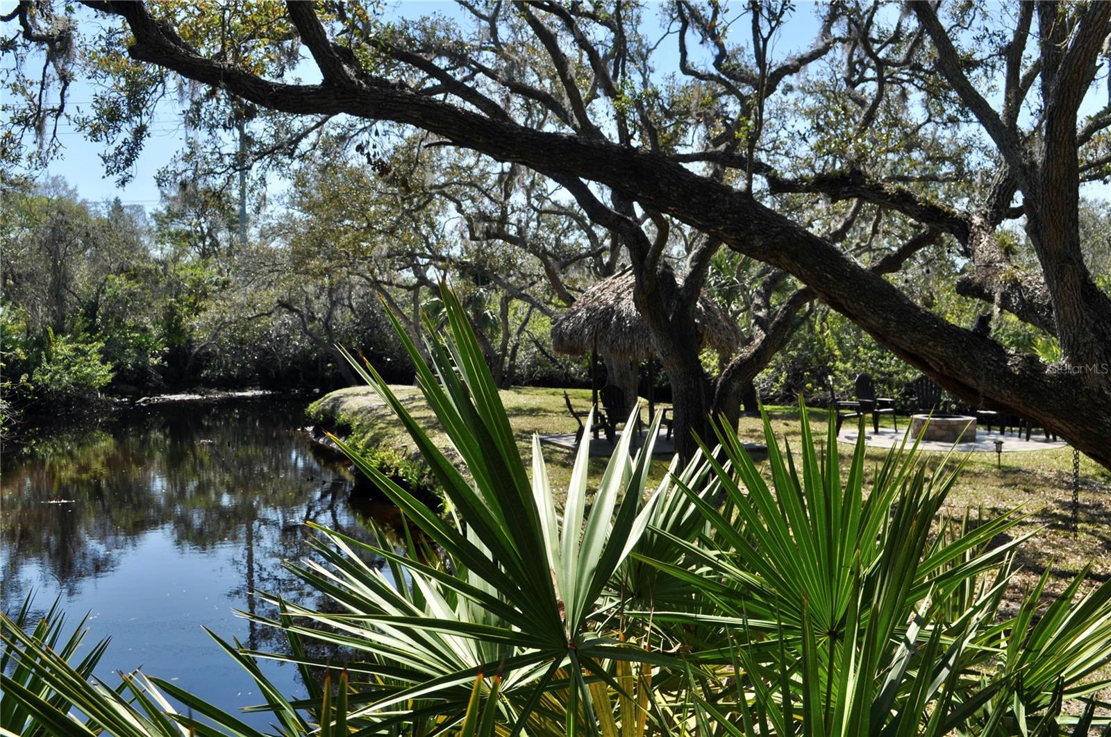 Back yard scenic creek view