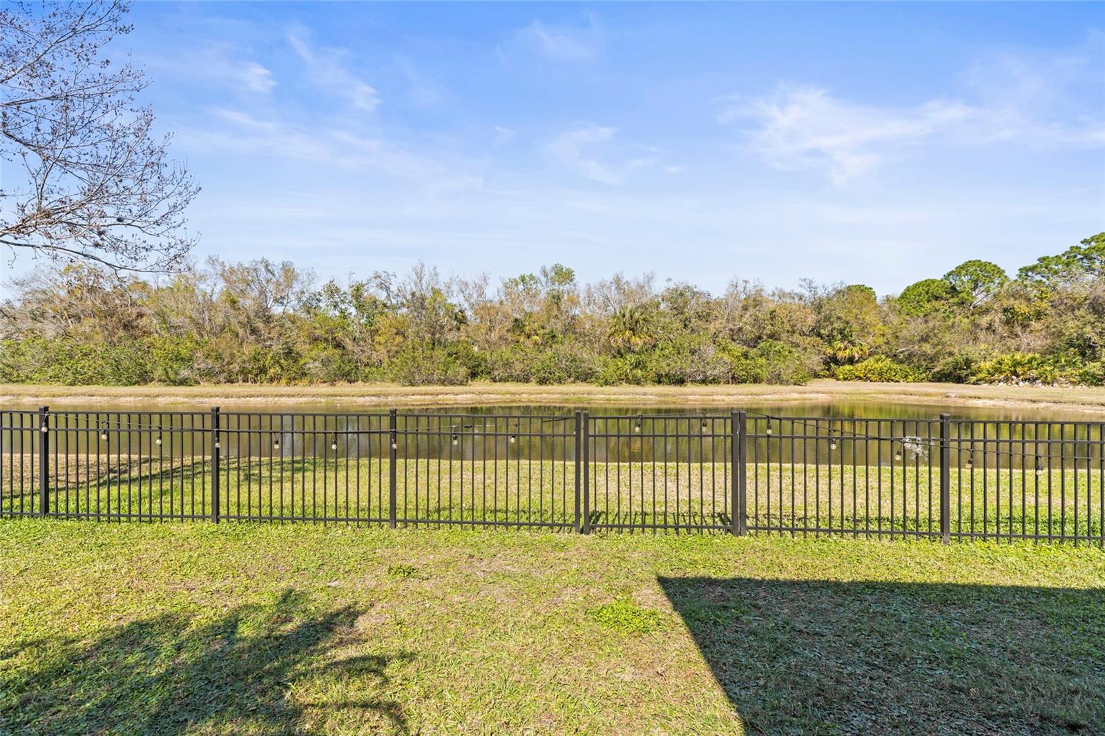 Backyard View of Pond