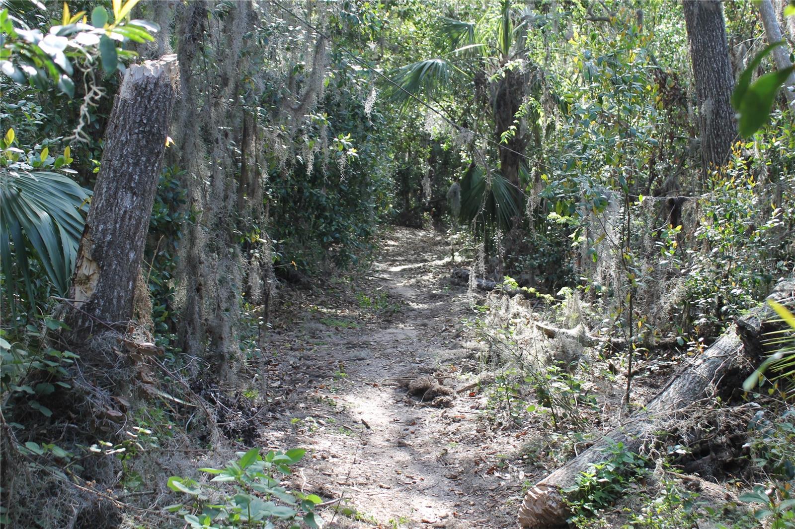 Neighborhood walking trail to the Alafia River