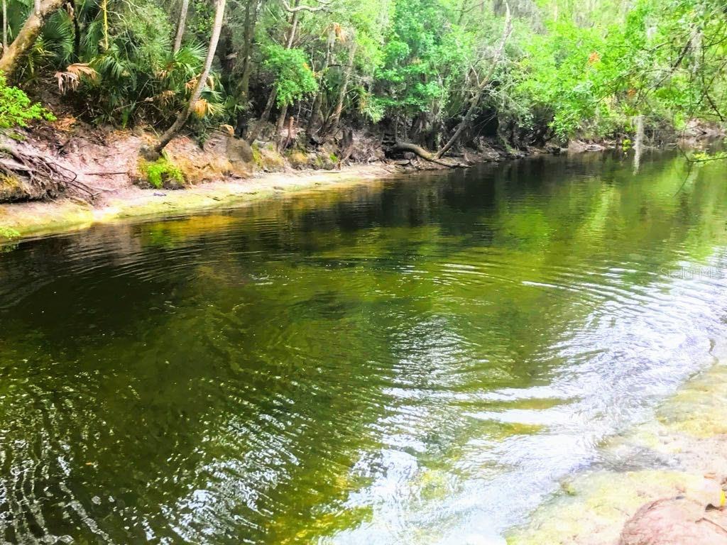 Neighborhood walking trail to the Alafia River