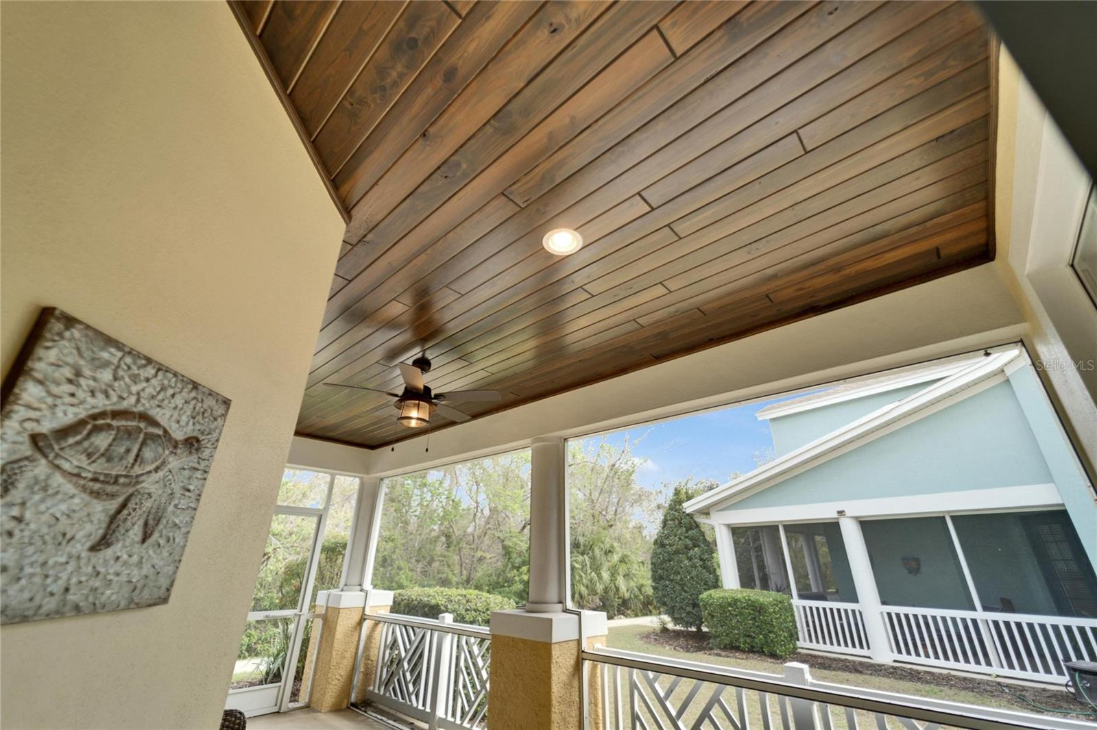 Lanai Ceiling