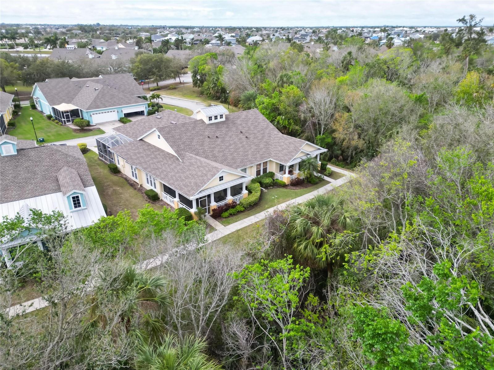 Community Aerial View