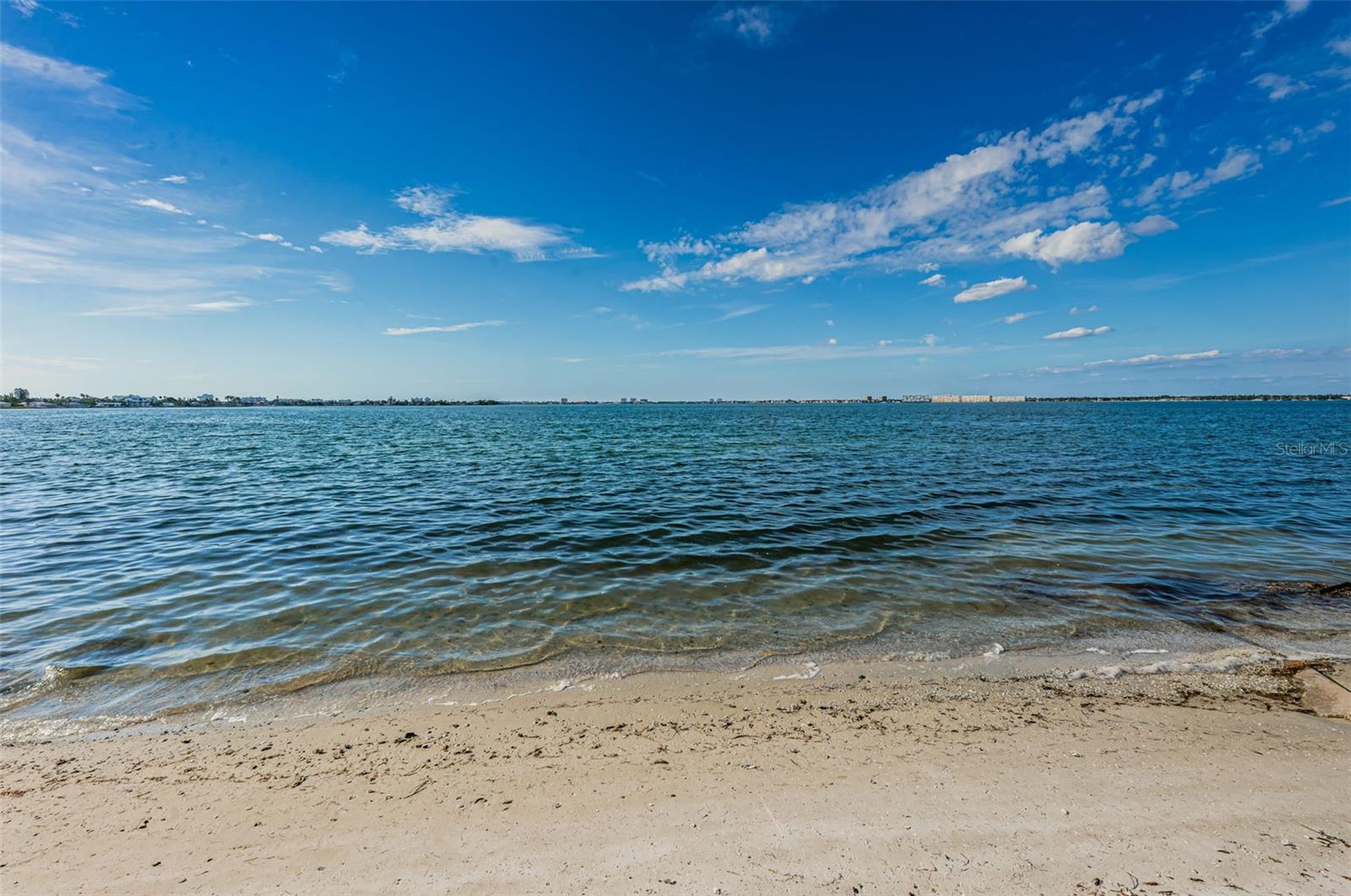 View from the Pool