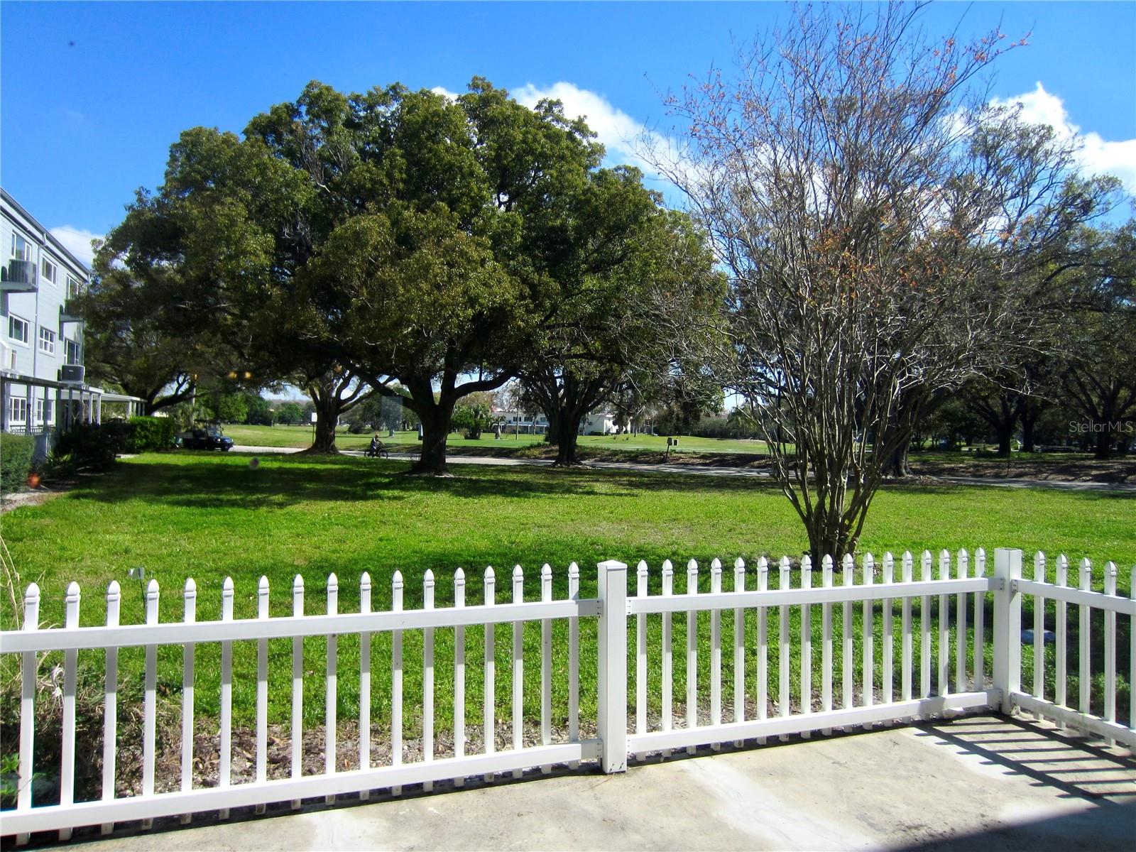 Back Patio