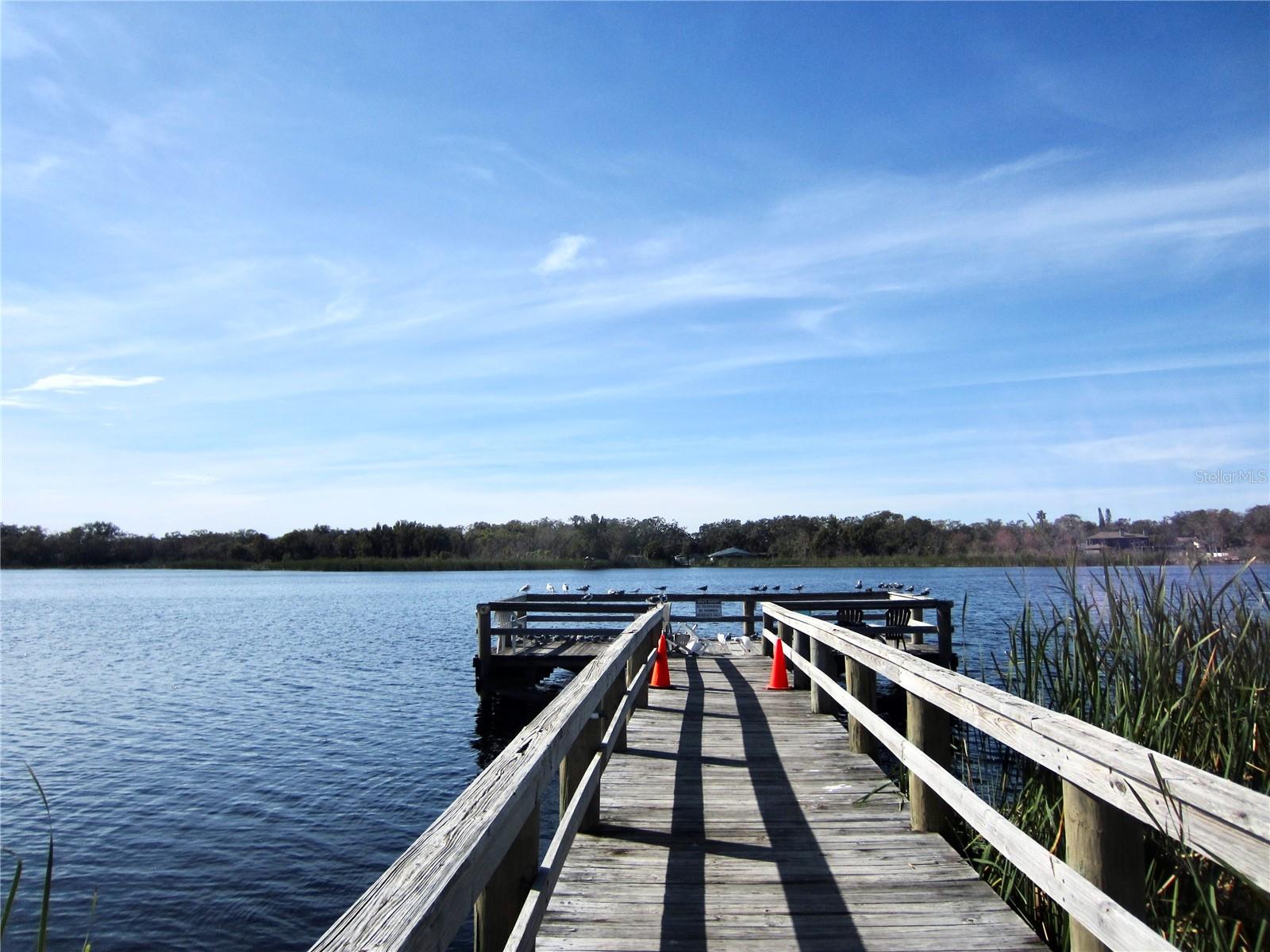 Pier of Lake of Arbor