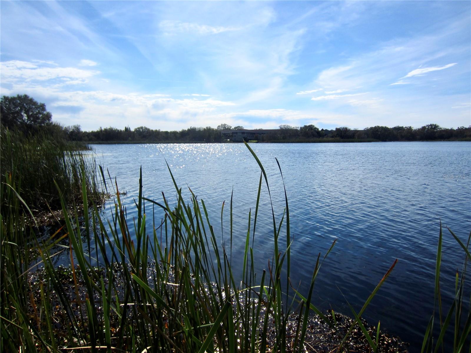 Lake of Arbor