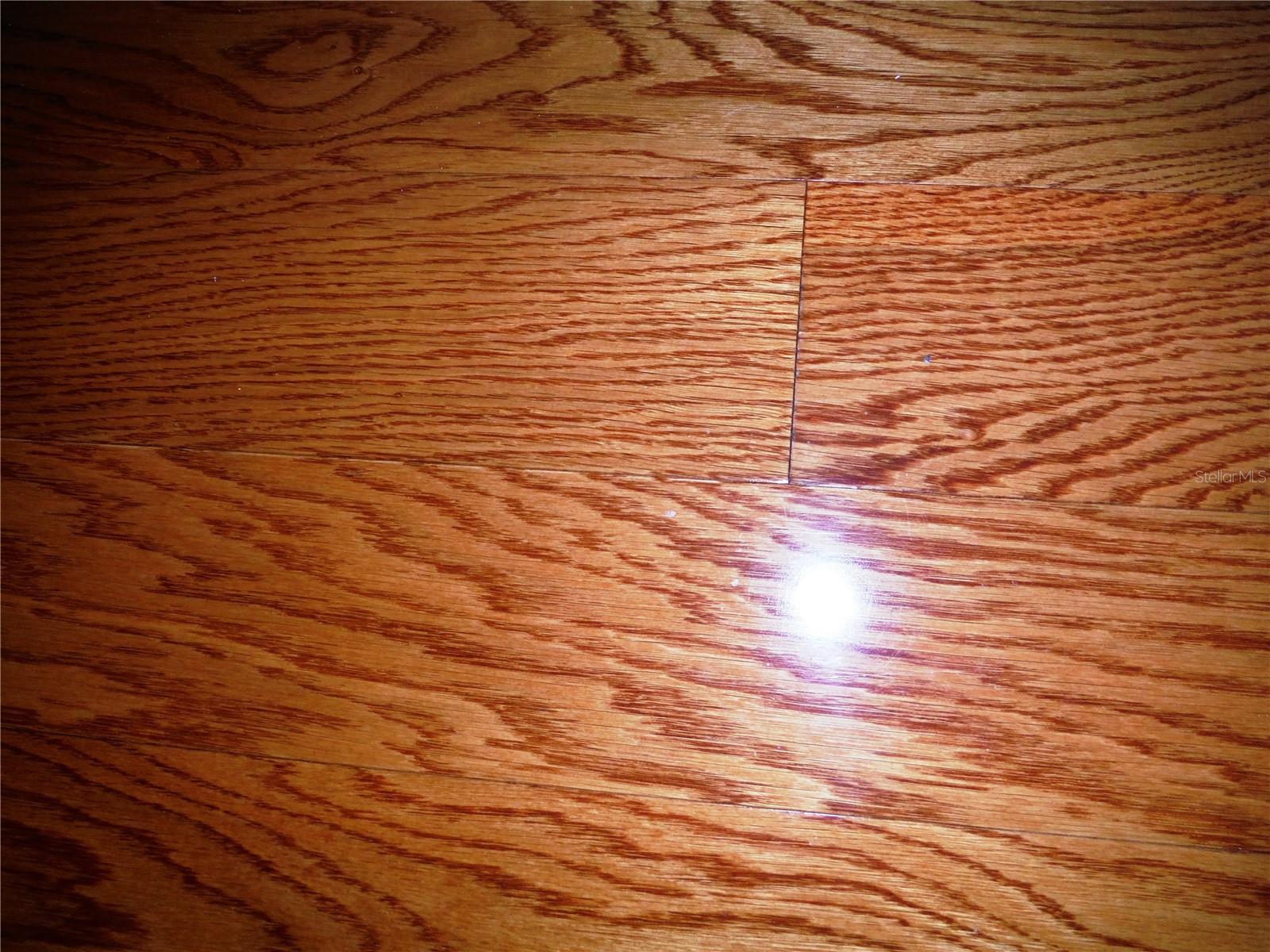 Engineered Hardwood Floors