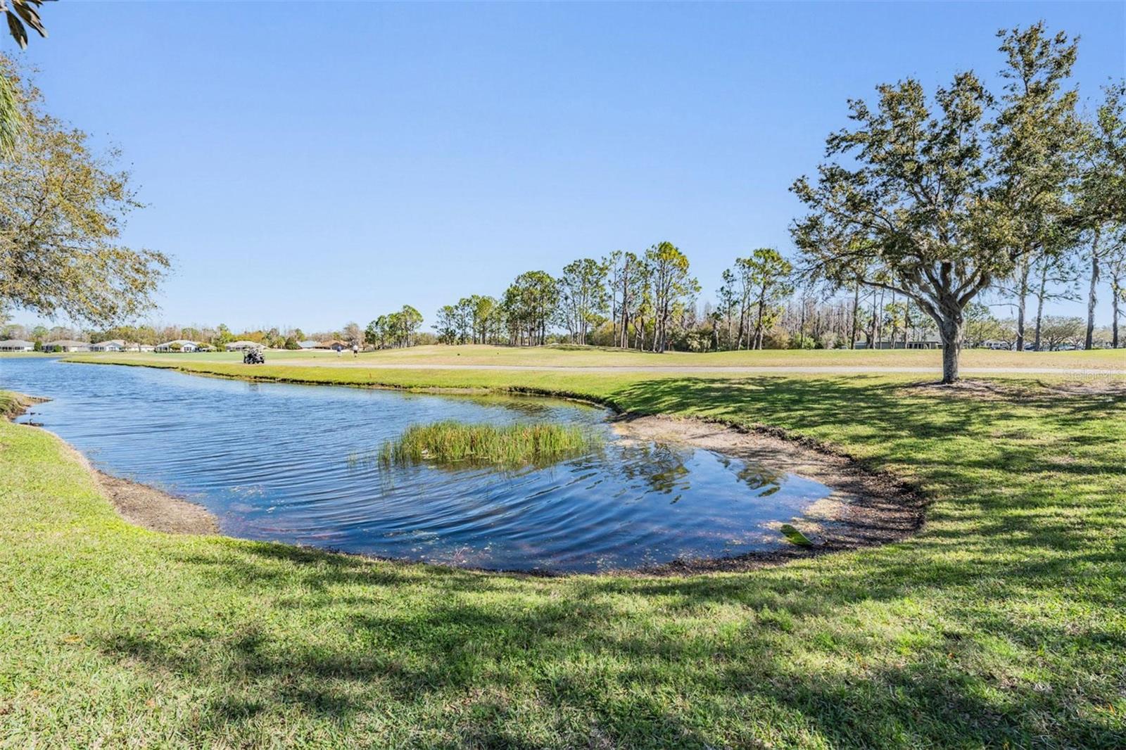 Pond and golf course views!