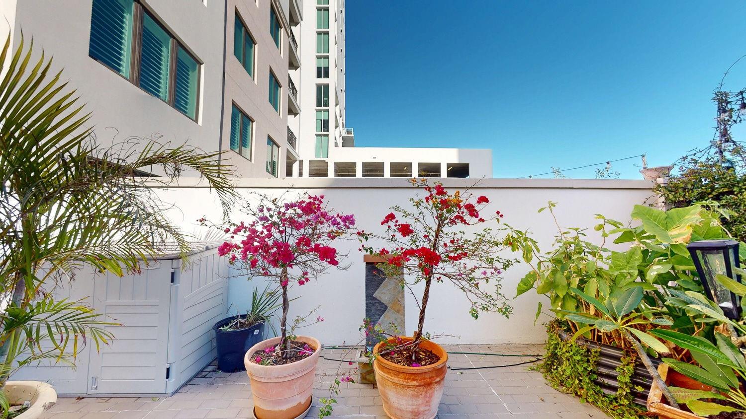 East view of part of the patio