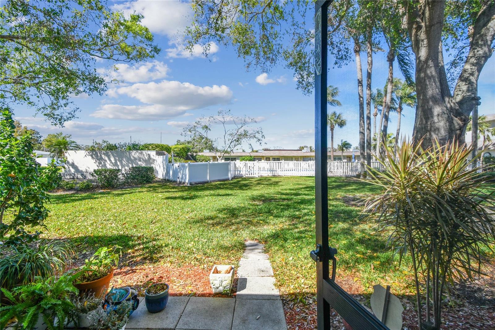 Beautiful Green space with pool area right off back porch