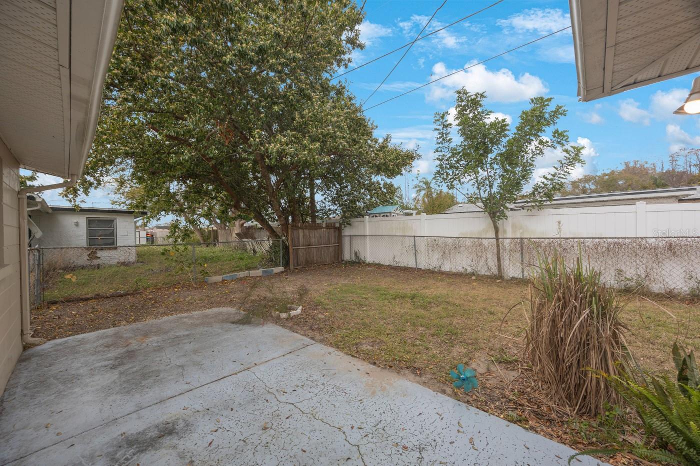 Back Patio