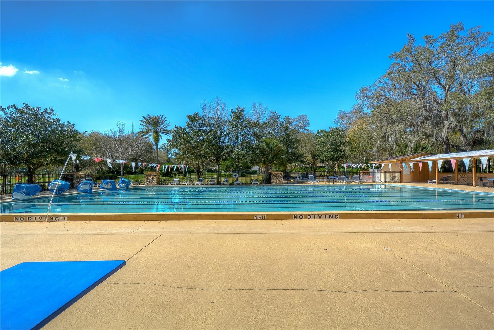 Dive into leisure at this serene community pool surrounded by lush greenery.