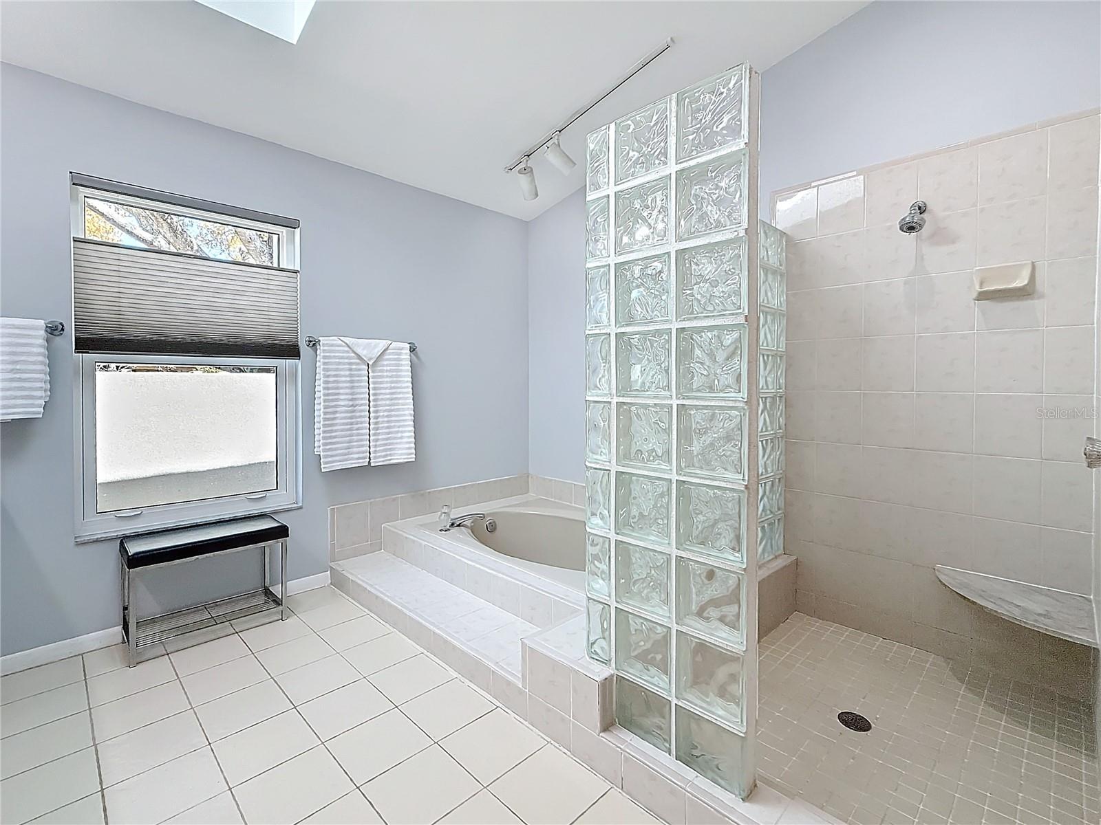 Walk in shower with seat and separate tub area