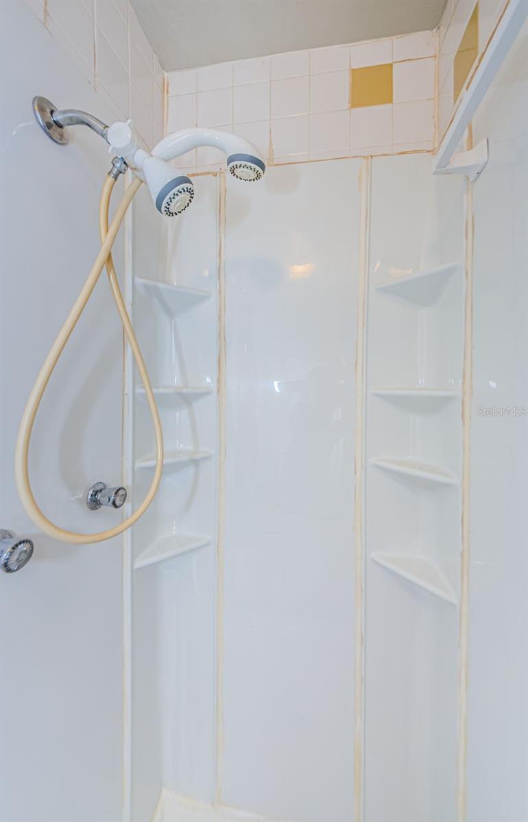 Primary Bath with step in shower