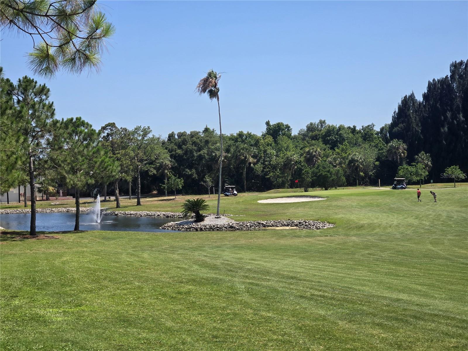 Tarpon Springs Golf Course