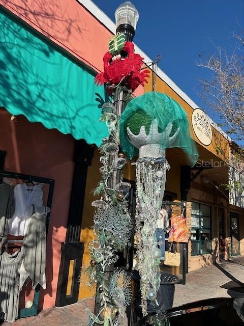 Quaint downtown Dunedin shops.