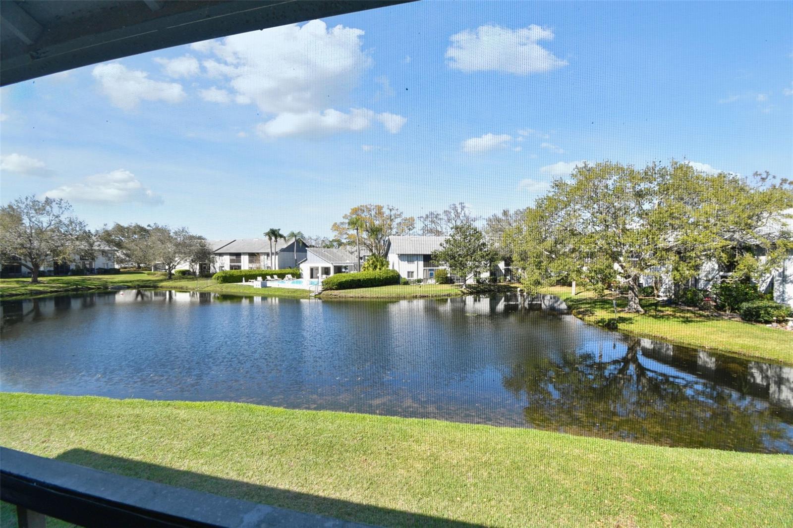 view over lake and view to the community pool