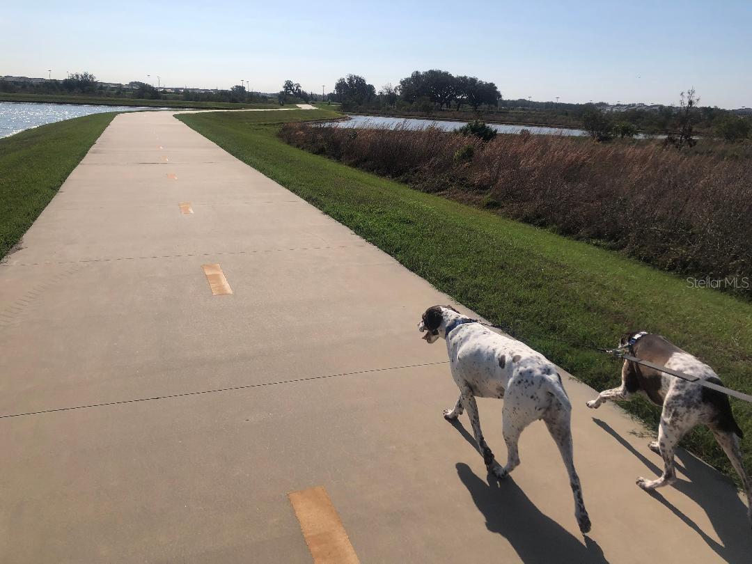 nature walk by 7 lakes