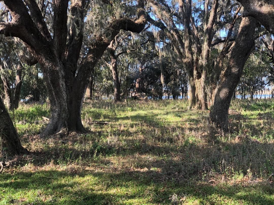 nature walk by 7 lakes