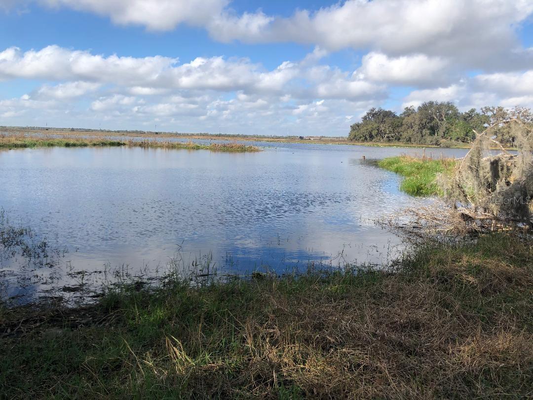 nature walk by 7 lakes