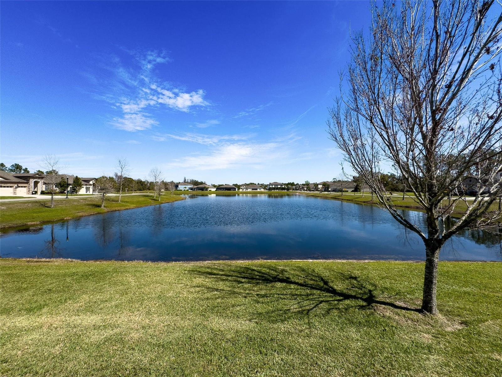 Pond View