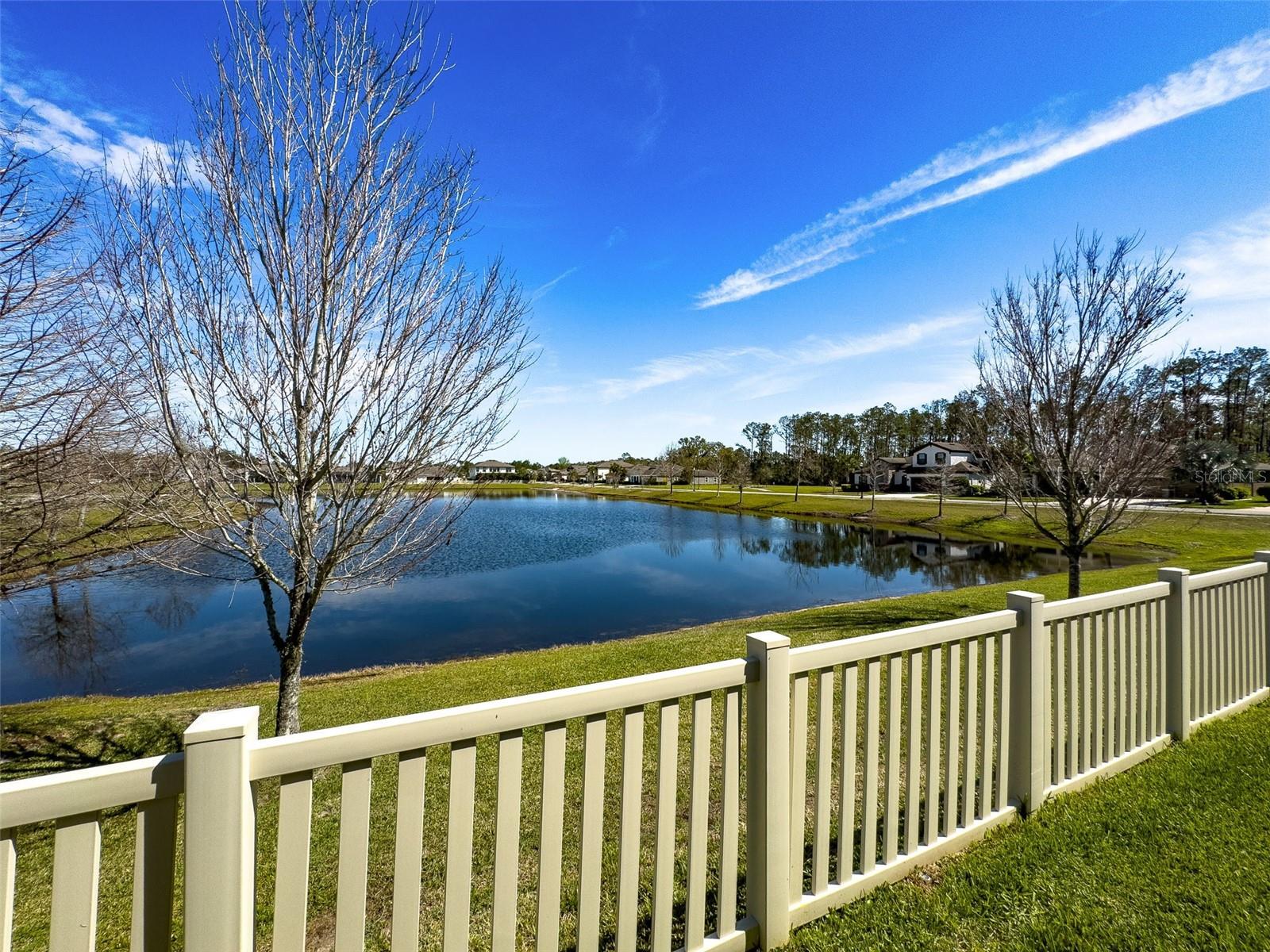 Pond View