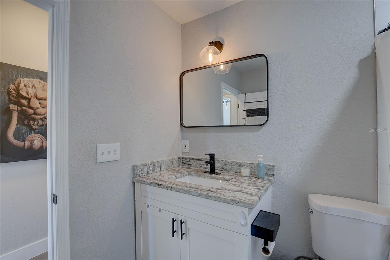 Guest bathroom