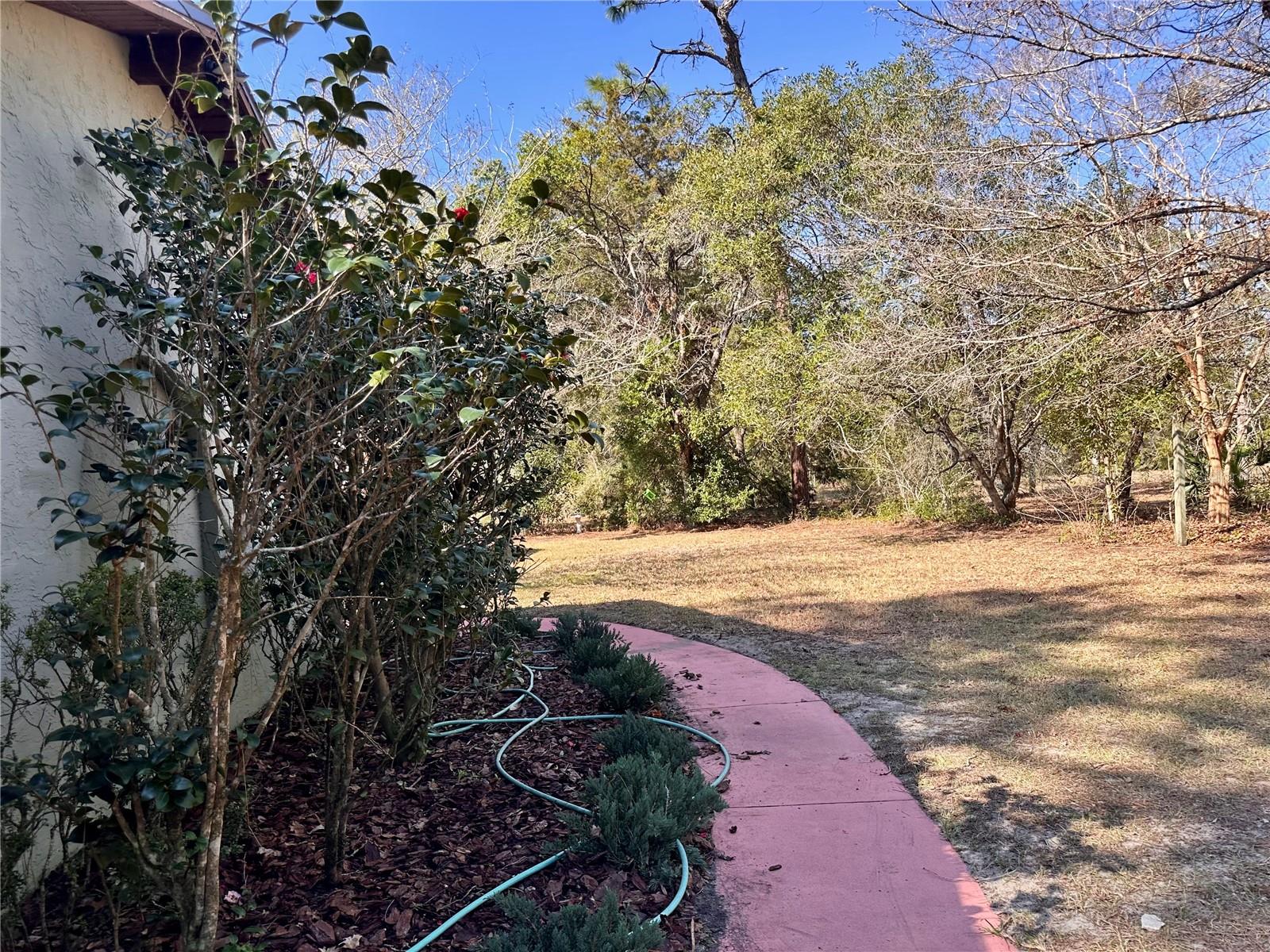 View of walk way to the front door of home