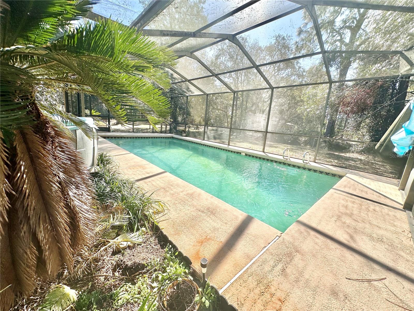 Screened enclosed Pool